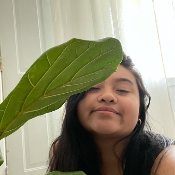 Meet your Posher, Olivia-kristen - Picture 1 of 1